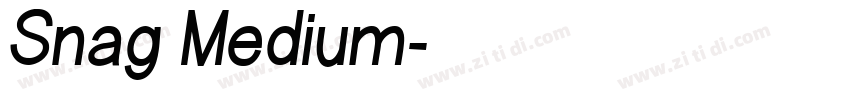Snag Medium字体转换